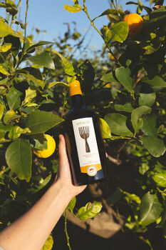 Sauvignon Blanc White Wine Puglia 'Apeneste', 6 of 6