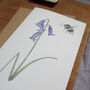 Bluebell And Bee Any Occasion Greetings Card, thumbnail 8 of 8