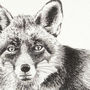 Fox Print 'The Lonesome Number Two', thumbnail 4 of 4