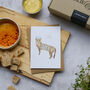 Just To Say Foodie Gift Box, thumbnail 7 of 10