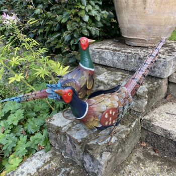 Pair Of Pheasants, 3 of 8