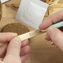Grow Your Own Bonsai Tree Kit, thumbnail 3 of 5