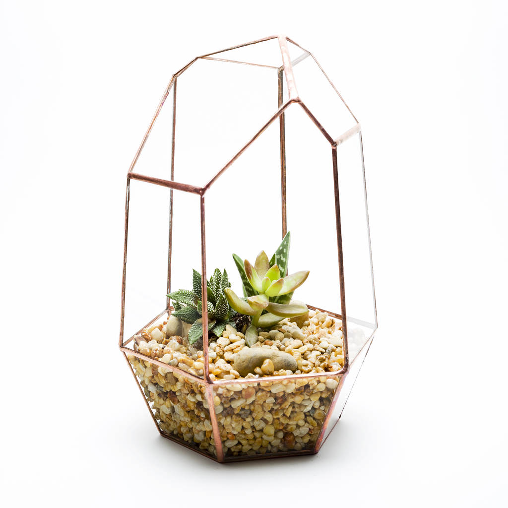 Image of Fully Assembled Aztec Copper Gem Terrarium
