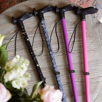 Purple Walking Stick, 5 of 5