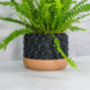 Carbon Transform Planter, thumbnail 2 of 4