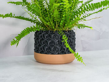 Carbon Transform Planter, 2 of 4