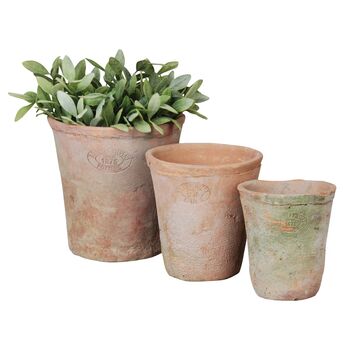 Set Of Three Aged Terracotta Round Plant Pots Decor, 3 of 4