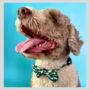 Camouflage Dog Collar, thumbnail 2 of 6