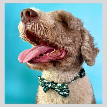 Camouflage Dog Collar, 2 of 6