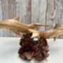 Hand Carved Wooden Dolphin Pair Sculpture Ornament, thumbnail 9 of 12