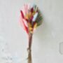 Letterbox Dried Flower Display In Autumn, thumbnail 3 of 3