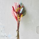 Brights Letterbox Dried Flower Display