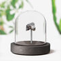 Aletai Authentic Meteorite Glass Dome Bell Jar, thumbnail 1 of 2