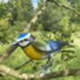 Hand Painted Metal Bluetit, thumbnail 8 of 9