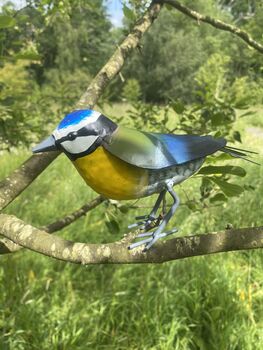 Hand Painted Metal Bluetit, 8 of 9