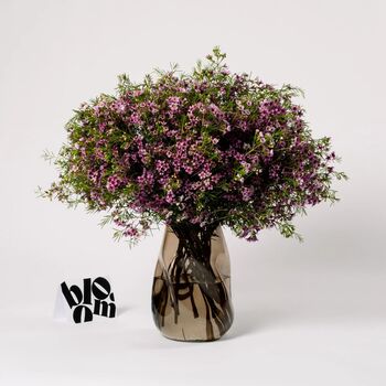 Cotton Candy Pink Wax Fresh Flower Bouquet, 2 of 2