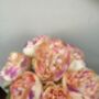 Pink Peony Artificial Silk Flower Arrangement Mothers Day Gift, thumbnail 2 of 6