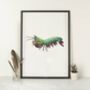 Peacock Mantis Shrimp Giclée Art Print, thumbnail 1 of 3