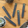 Personalised Slate Herb And Vegetable Plant Markers, thumbnail 4 of 4