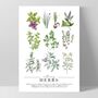 Culinary Herbs Vintage Chart Print With Frame, thumbnail 2 of 3