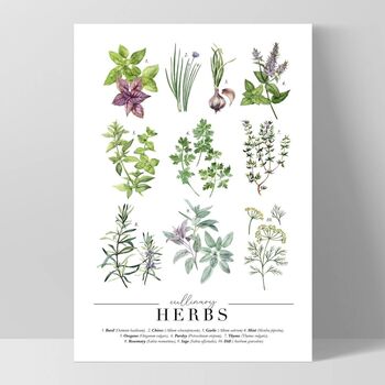 Culinary Herbs Vintage Chart Print With Frame, 2 of 3