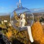 Christmas Angel In Open Glass Bauble, thumbnail 4 of 4