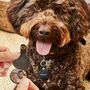 Personalised Dog Tag And Keyring Set With Photo, thumbnail 2 of 9
