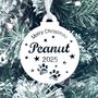 Pet Personalised Christmas Tree Bauble For Dog Or Cat, thumbnail 1 of 6