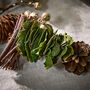 Woodland Sparkle Natural Christmas Garland, thumbnail 4 of 6