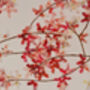 Cherry Blossom Butterfly Art, 3D Feature Wall Art, thumbnail 4 of 12