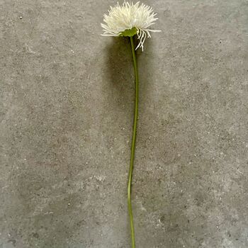 Artificial White Chrysanthemum Stem, 2 of 5