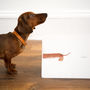 Personalised Cheeky Sausage Dog Butt Illustrated Print, thumbnail 1 of 3
