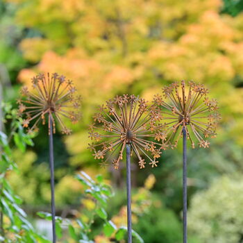 Rusty Metal Allium Garden Ornament, 5 of 7