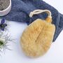Invigorating Body Brush, thumbnail 4 of 4