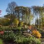 Visit Rhs Garden Bridgewater Day: A Garden Lover's Paradise. For Two, thumbnail 8 of 11