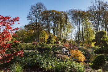 Visit Rhs Garden Bridgewater Day: A Garden Lover's Paradise. For Two, 8 of 11