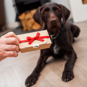 Personalised Dog Biscuits, 4 of 4