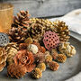 Natural Assortment Of Pine Cones Golden Sparkle, thumbnail 4 of 6