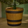 Halden Snowy Pre Lit Potted Christmas Tree, thumbnail 4 of 4