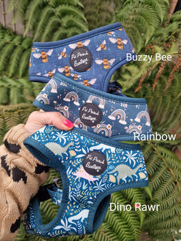 Rainbows In The Forest Dog Collar, 4 of 6