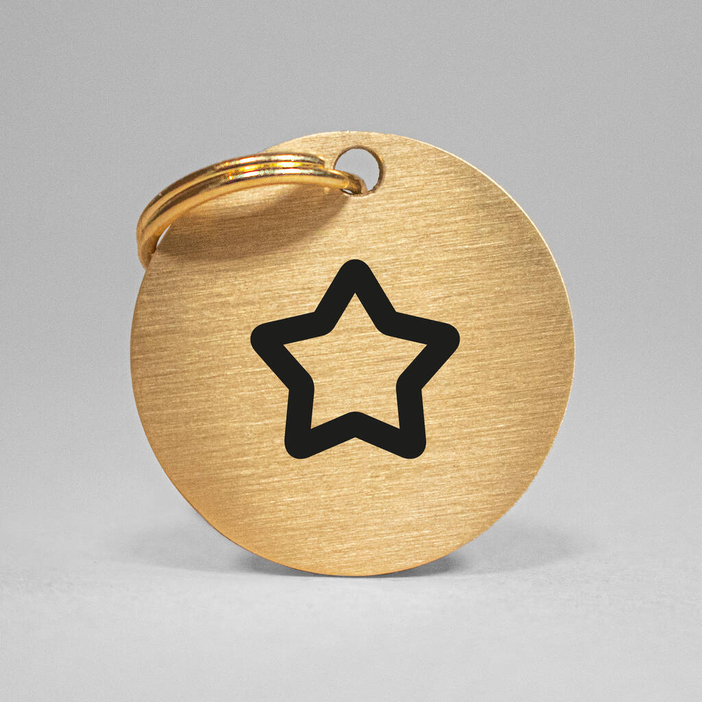 Dog And Cat Tag Engraved With Star, 1 of 3