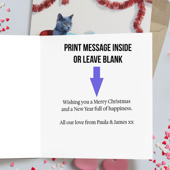 You Own Cat Reading 'Surviving Christmas With Idiots' Pack Of Twelve Greeting Cards, 4 of 4