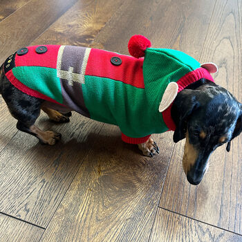 Christmas Elf Miniature Dachshund Jumper, 3 of 3