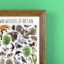 Town Wildlife Of Britain Wildlife Print, thumbnail 9 of 9