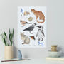 Personalised Animal Alphabet Print Unframed, thumbnail 10 of 12