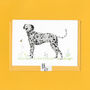 Dotty The Dalmatian Illustrated Blank Greeting Card, thumbnail 4 of 10