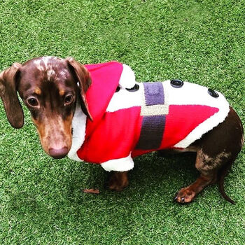 Christmas Santa Miniature Dachshund Jumper, 2 of 3