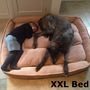 Cradle Fleece Dog Bed Xl And Xxl Reduced To Clear, thumbnail 9 of 11