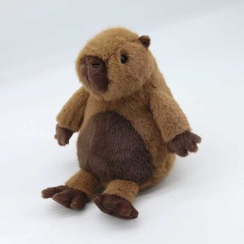 Super Cuddly Capybara Premium Plush Soft Toy 20cm, Suitable From Birth, Gift Bag Included, 5 of 5