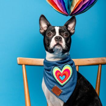 Love Heart Rainbow Dog Bandana Neckerchief, 2 of 2